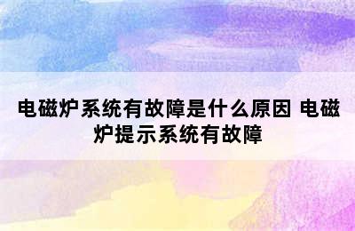 电磁炉系统有故障是什么原因 电磁炉提示系统有故障